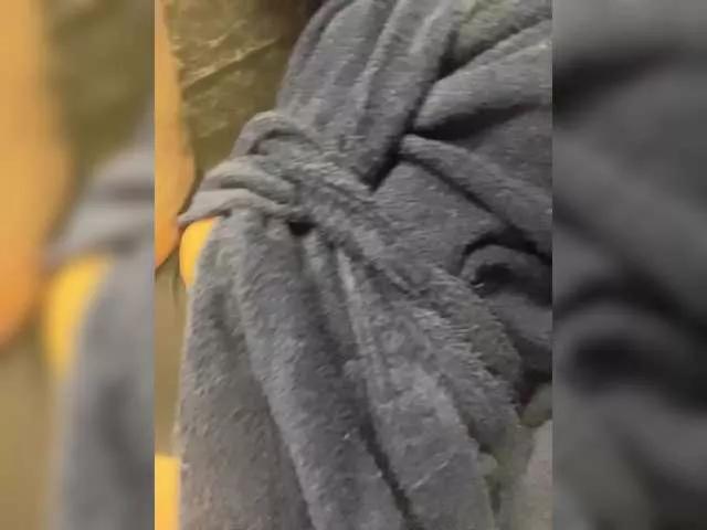 AlisaKisa555 from BongaCams is Freechat