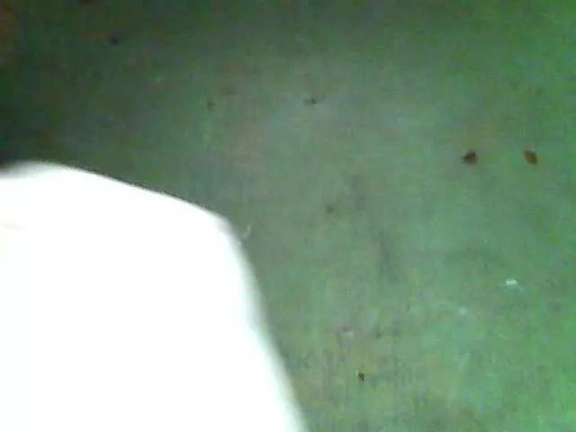 Allycha1 from BongaCams