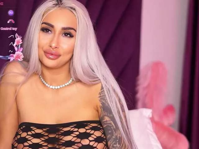 Discover our girls online shows and discover the company of countless livestreamers, with stunning shapes, sex toys and more.