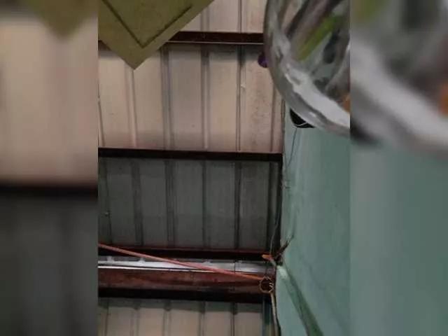 AsianBella from BongaCams