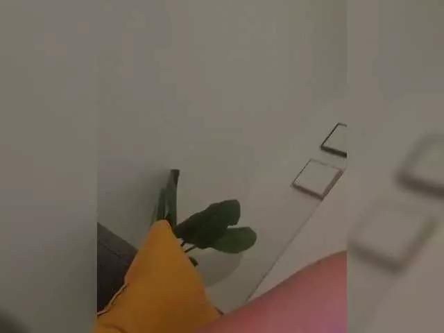 jasminbunny19 from BongaCams is Freechat