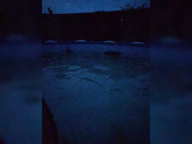 Jenne-Noel from BongaCams