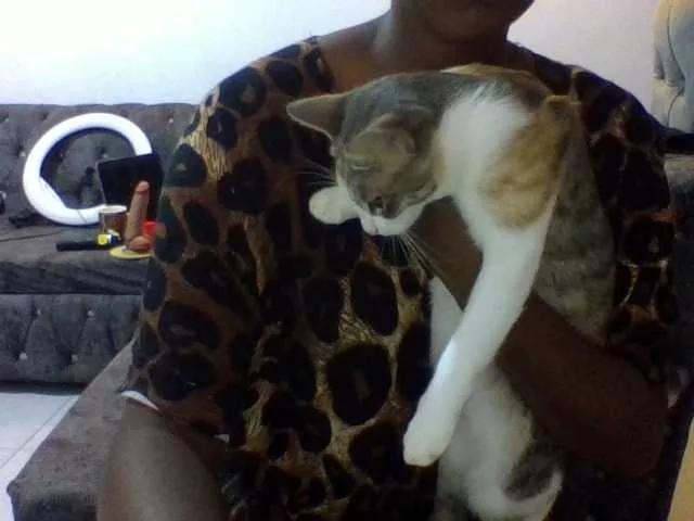 Lustyluna2 from BongaCams is Freechat