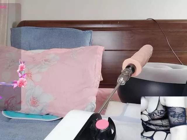 Discover our girls online shows and discover the company of countless livestreamers, with stunning shapes, sex toys and more.