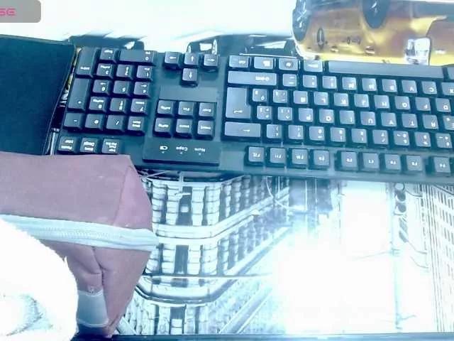 Discover our girls online shows and discover the company of countless livestreamers, with stunning shapes, sex toys and more.