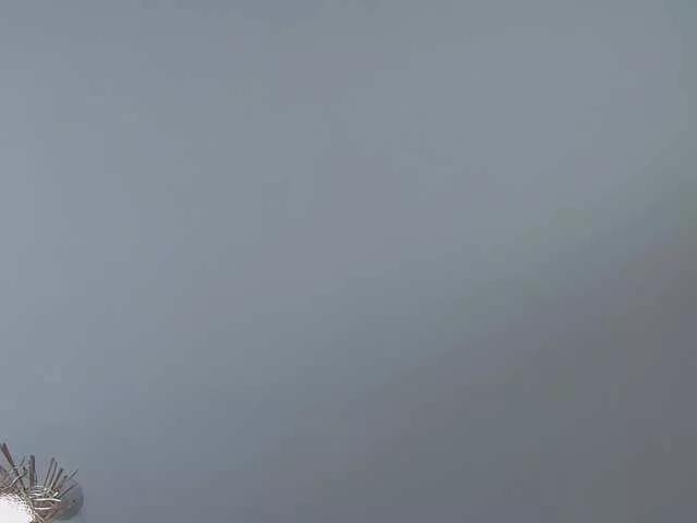 MisteryBlush from BongaCams is Freechat