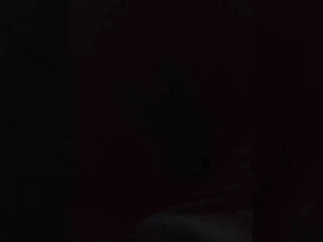 Niki233221 from BongaCams
