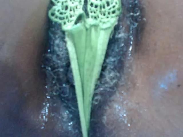 SashaMacgrego from BongaCams