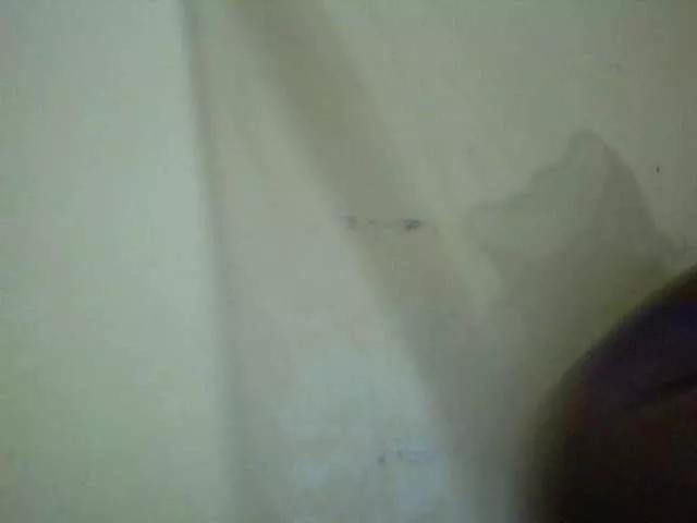 Sassy-Bella from BongaCams is Freechat