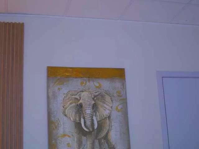 SweetObsessionXO from BongaCams