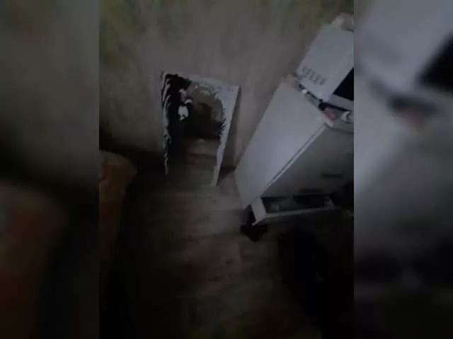 Zanna28 from BongaCams