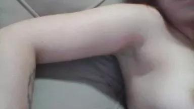 DISTEMY webcams show profile image 