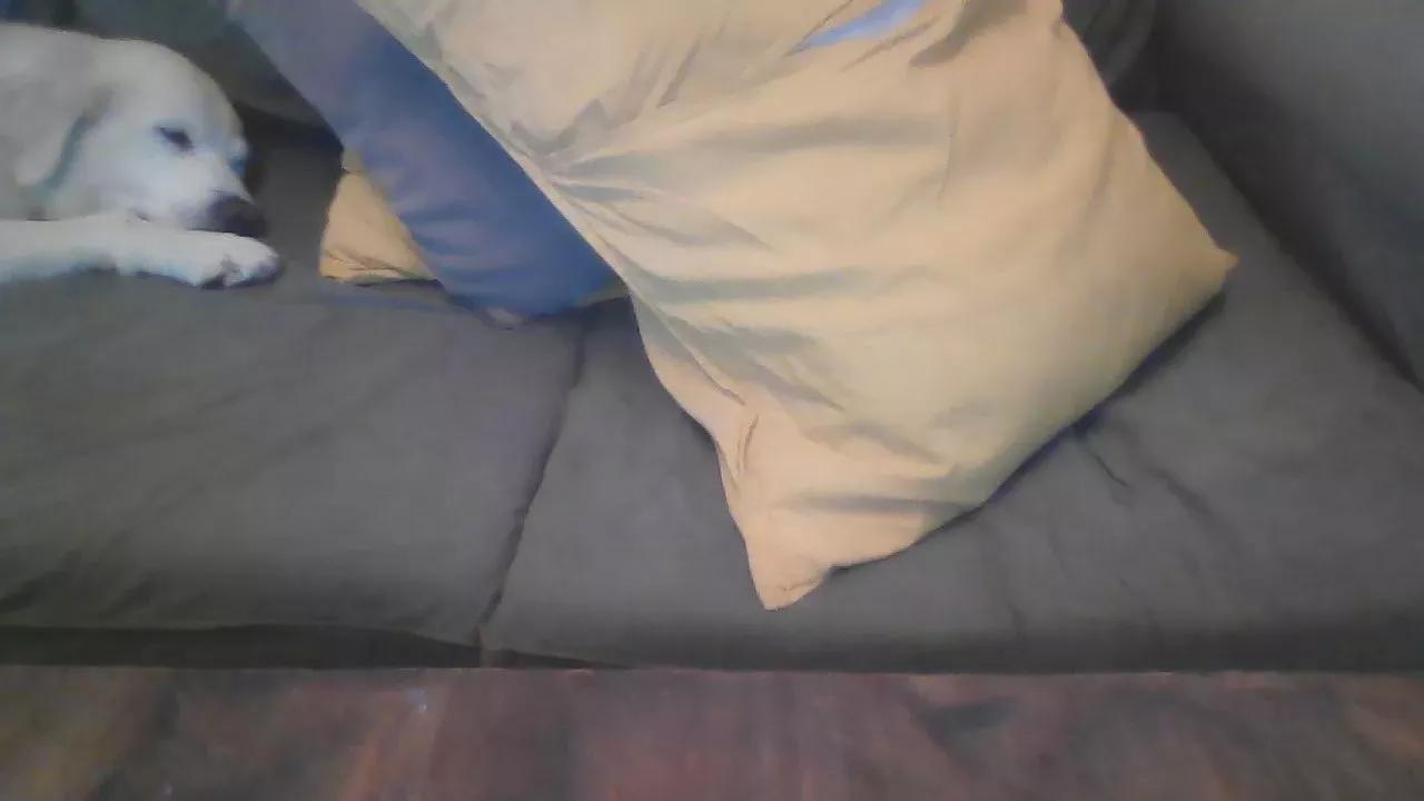 IviGui webcams show profile image 