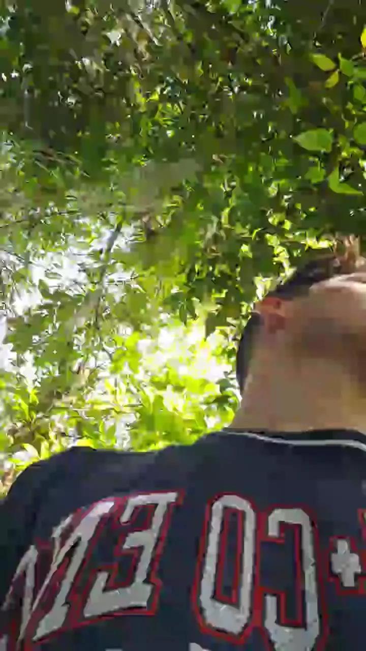 Kevinxlvx webcams show profile image 
