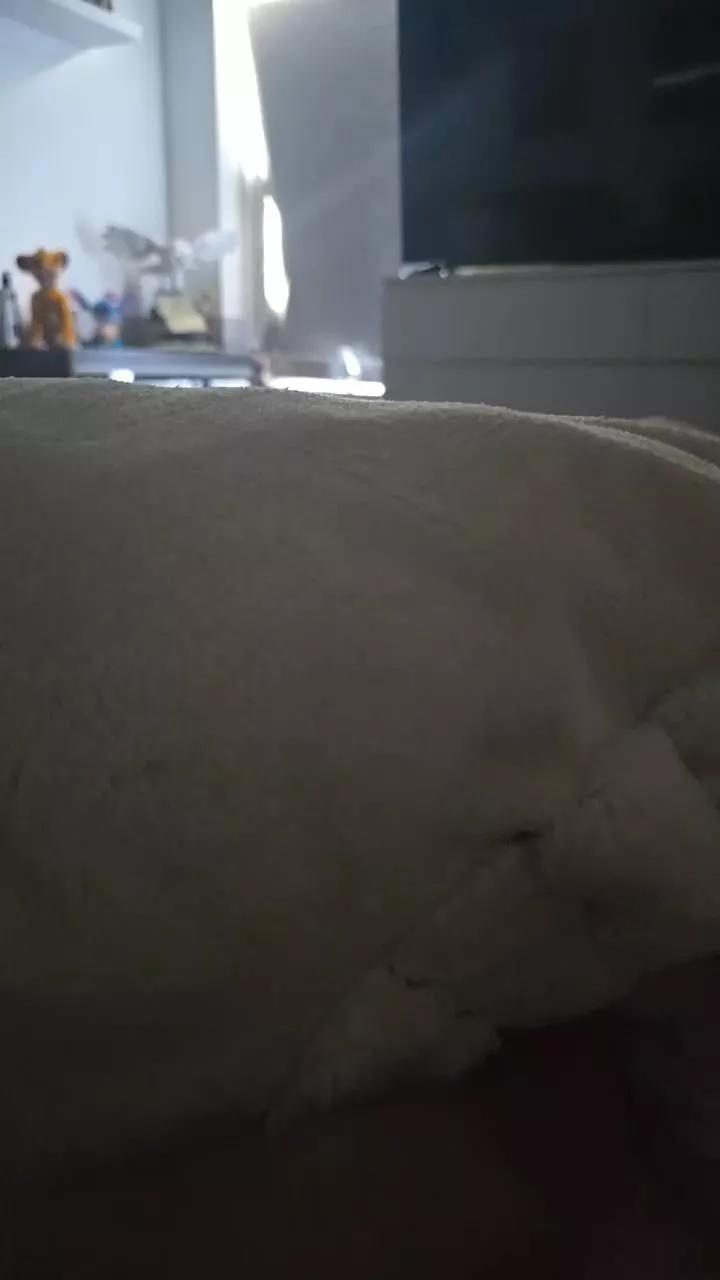 maxxy20 from Cam4