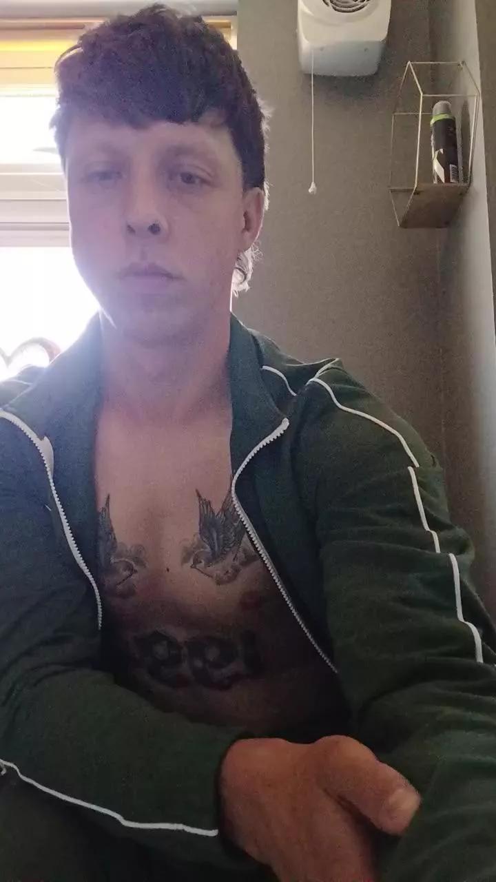 ShamCock webcams show profile image 