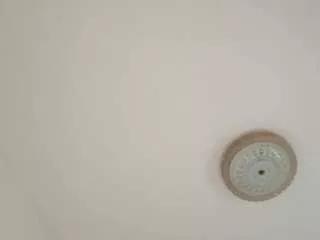 Amalarabic webcams show profile image 