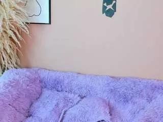 Discover our girls online shows and discover the company of countless livestreamers, with stunning shapes, sex toys and more.
