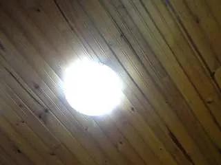 cherrysmall from CamSoda is Freechat