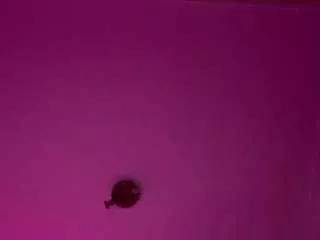Coonejita webcams show profile image 