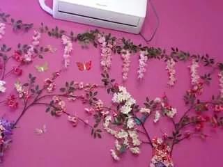 elupitabarbara18 from CamSoda is Freechat