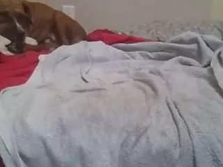 hoggbody from CamSoda