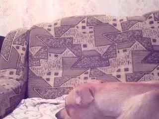 kiss-lovely from CamSoda is Freechat