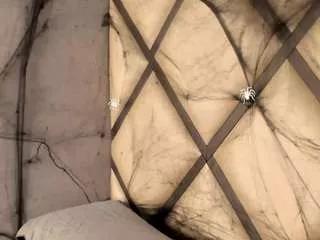 queen-0 from CamSoda is Freechat