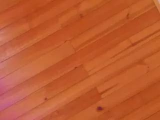 Sofydubros webcams show profile image 