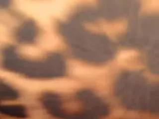 sweetlexyy from CamSoda is Freechat