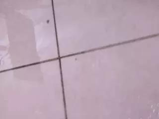 sweetlykonny1 from CamSoda is Freechat