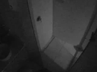 Photos of voyeurcam-casa-salsa-bathroom-7 from CamSoda is Freechat