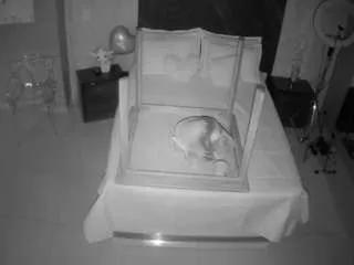 voyeurcam-casa-salsa-bedroom-3 from CamSoda is Freechat
