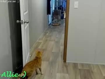 allie__kat from Chaturbate