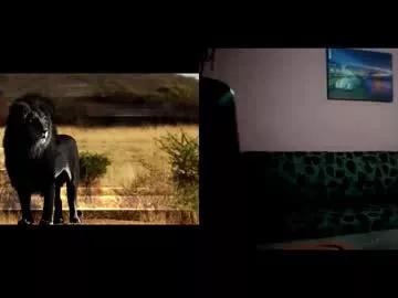 Ayadam webcams show profile image 