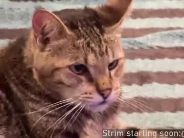 booker_baxton from Chaturbate