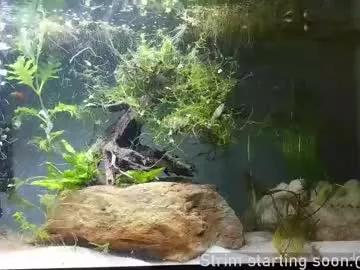 booker_baxton from Chaturbate