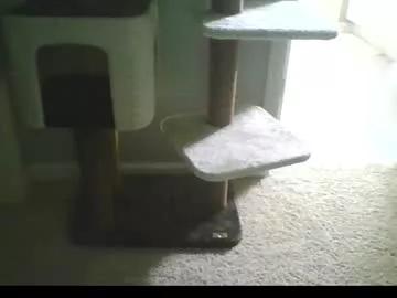 Cammyman6900 webcams show profile image 