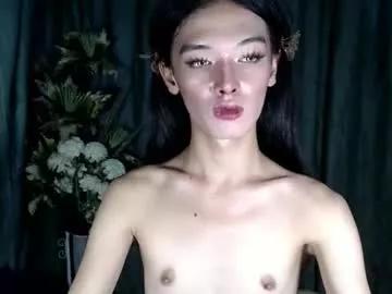 dangerouscock69_nica from Chaturbate is Freechat