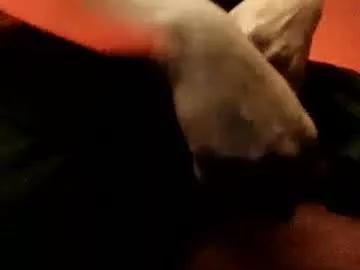 estelarseiya from Chaturbate
