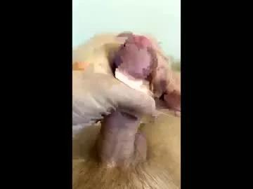 freedombliss from Chaturbate