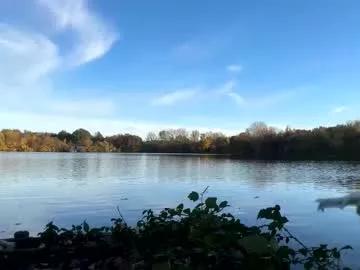 Germanwankingman92 webcams show profile image 