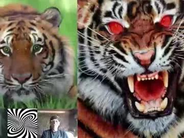 Kodiakpm1 webcams show profile image 