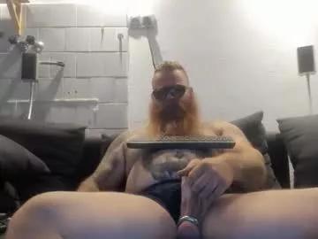 Medved84 webcams show profile image 