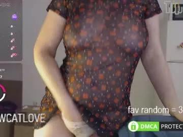 Discover our girls online shows and discover the company of countless livestreamers, with stunning shapes, sex toys and more.