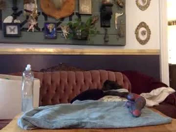 otter_toys from Chaturbate