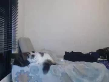 queennicky88 from Chaturbate