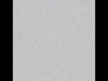 Rinacain webcams show profile image 