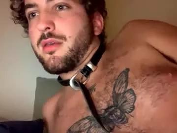 Shybutf webcams show profile image 