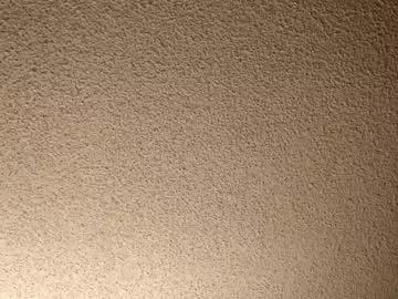 treedude303720 from Chaturbate